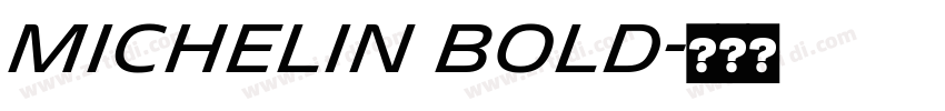 Michelin Bold字体转换